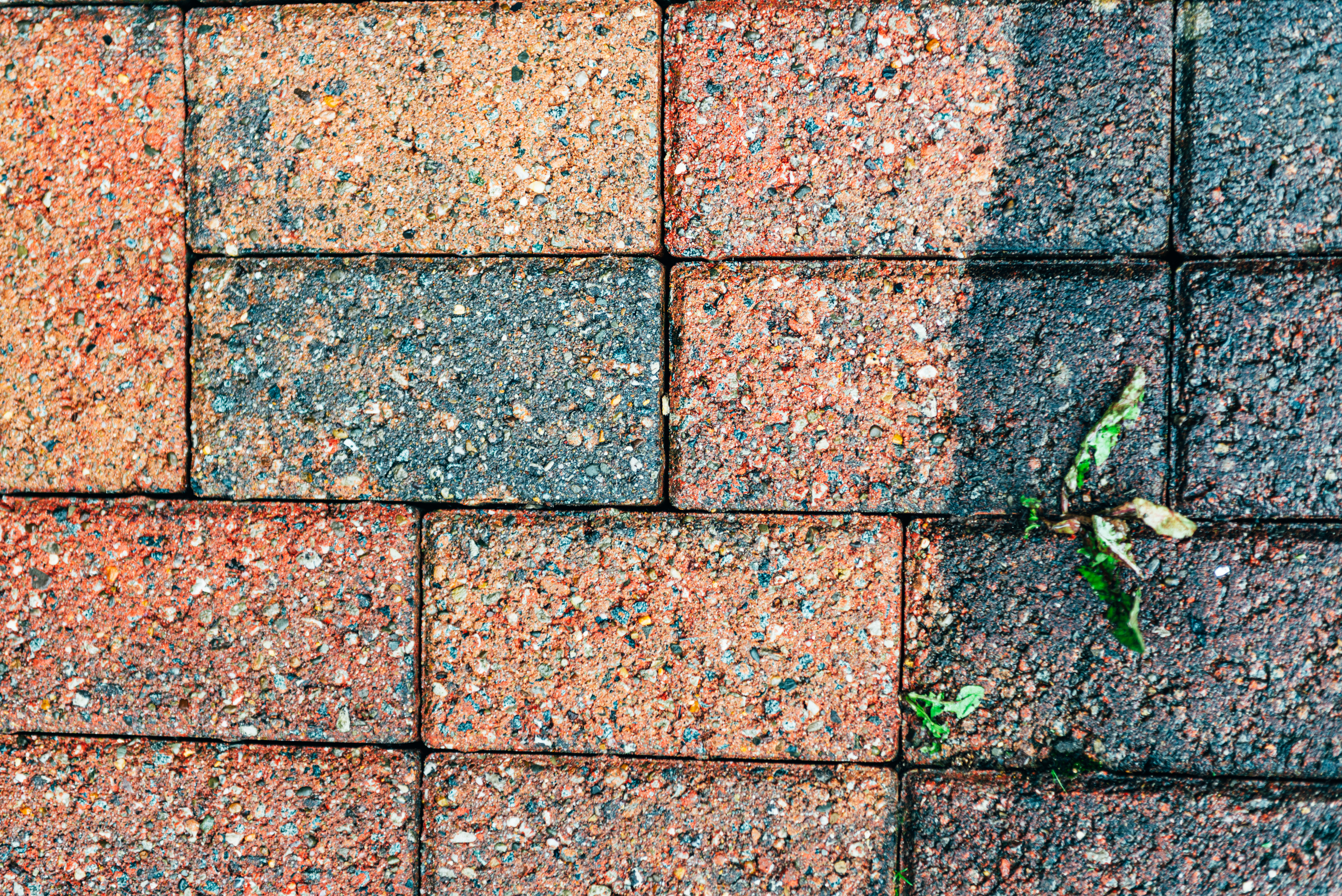 Cleaning Service Image 2